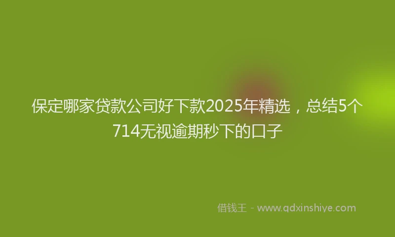 保定哪家贷款公司好下款2025年精选，总结5个714无视逾期秒下的口子