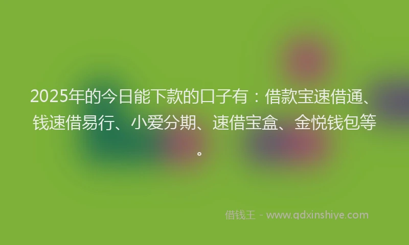 2025年的今日能下款的口子有：借款宝速借通、钱速借易行、小爱分期、速借宝盒、金悦钱包等。
