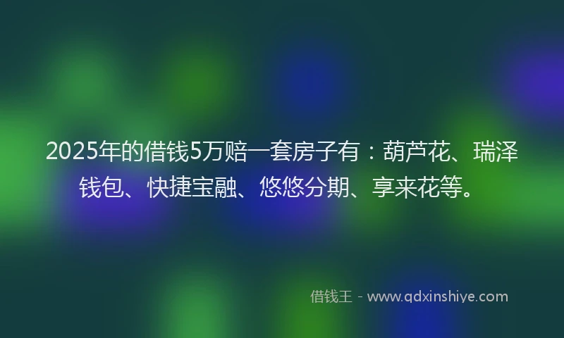 2025年的借钱5万赔一套房子有：葫芦花、瑞泽钱包、快捷宝融、悠悠分期、享来花等。