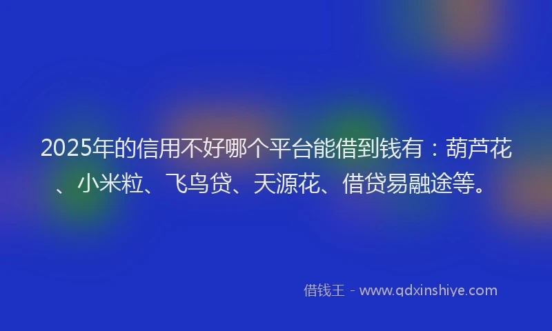 2025年的信用不好哪个平台能借到钱有：葫芦花、小米粒、飞鸟贷、天源花、借贷易融途等。