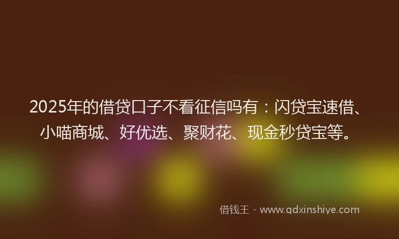 2025年的借贷口子不看征信吗有：闪贷宝速借、小喵商城、好优选、聚财花、现金秒贷宝等。