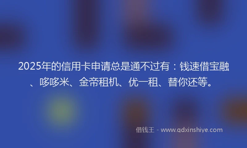 2025年的信用卡申请总是通不过有：钱速借宝融、哆哆米、金帝租机、优一租、替你还等。
