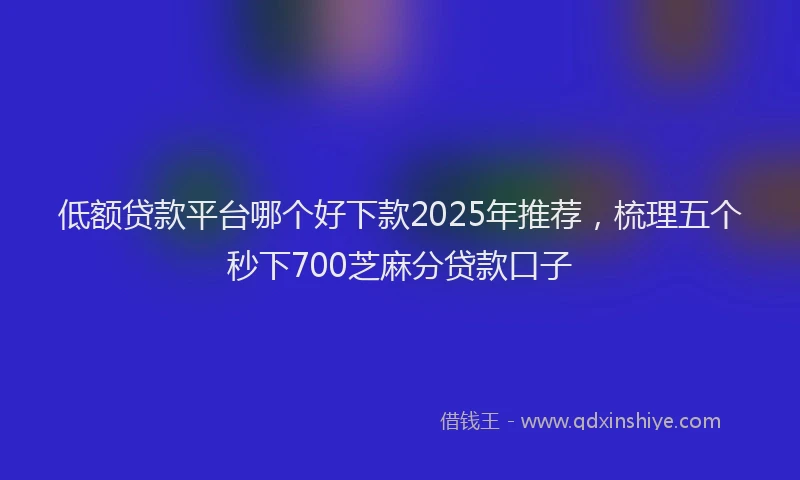 低额贷款平台哪个好下款2025年推荐，梳理五个秒下700芝麻分贷款口子