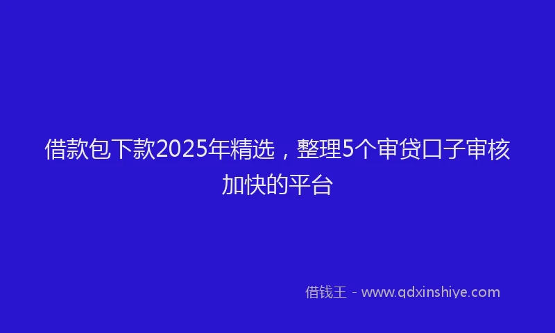 借款包下款2025年精选，整理5个审贷口子审核加快的平台