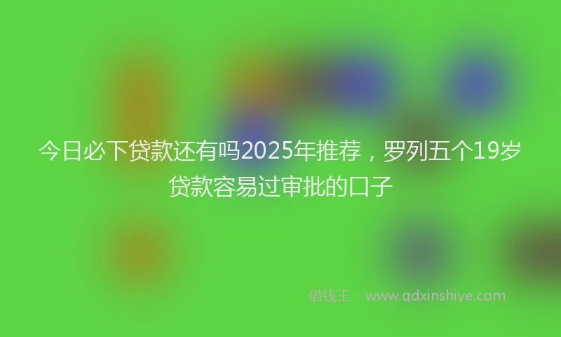 今日必下贷款还有吗2025年推荐，罗列五个19岁贷款容易过审批的口子