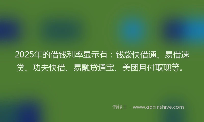 2025年的借钱利率显示有：钱袋快借通、易借速贷、功夫快借、易融贷通宝、美团月付取现等。