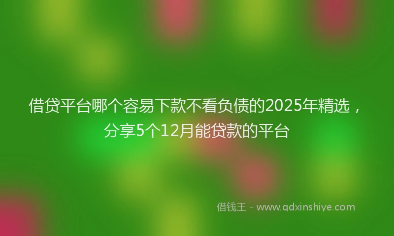 借贷平台哪个容易下款不看负债的2025年精选，分享5个12月能贷款的平台