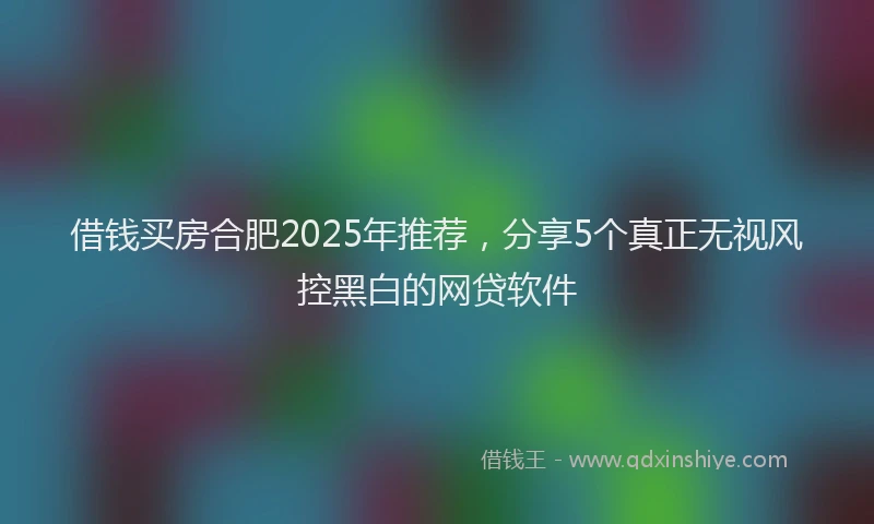 借钱买房合肥2025年推荐，分享5个真正无视风控黑白的网贷软件