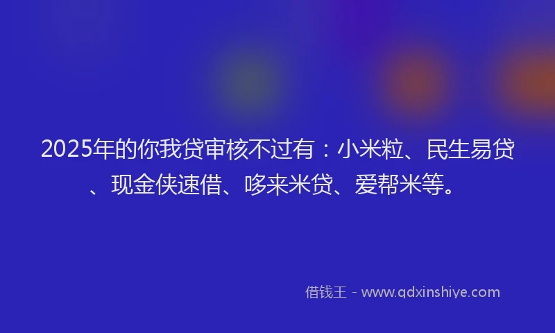 2025年的你我贷审核不过有：小米粒、民生易贷、现金侠速借、哆来米贷、爱帮米等。