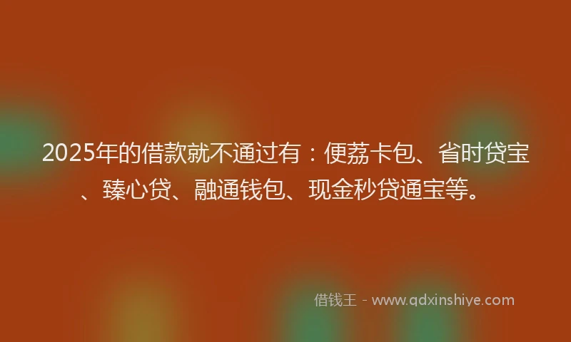 2025年的借款就不通过有：便荔卡包、省时贷宝、臻心贷、融通钱包、现金秒贷通宝等。