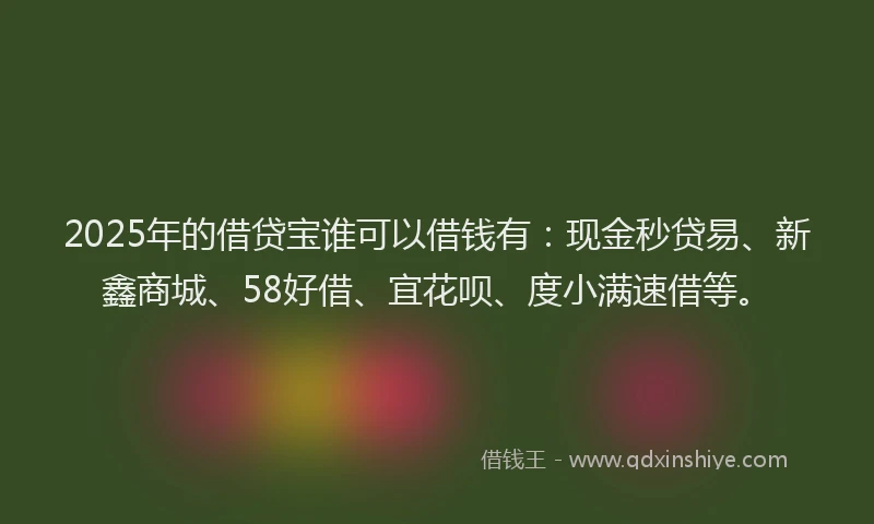 2025年的借贷宝谁可以借钱有：现金秒贷易、新鑫商城、58好借、宜花呗、度小满速借等。