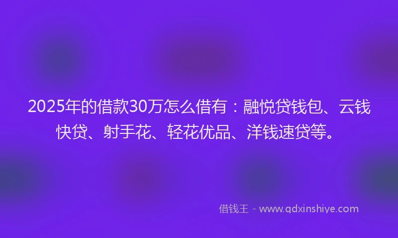 2025年的借款30万怎么借有：融悦贷钱包、云钱快贷、射手花、轻花优品、洋钱速贷等。
