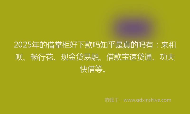 2025年的借掌柜好下款吗知乎是真的吗有：来租呗、畅行花、现金贷易融、借款宝速贷通、功夫快借等。