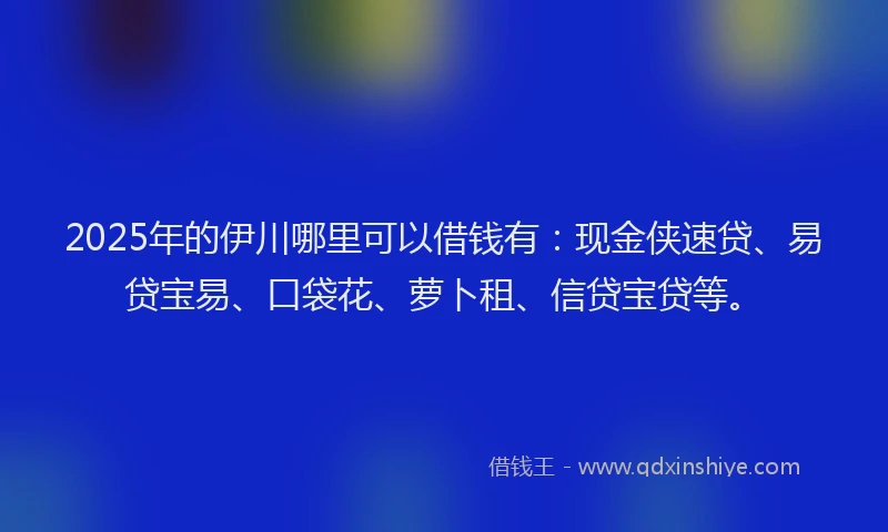 2025年的伊川哪里可以借钱有：现金侠速贷、易贷宝易、口袋花、萝卜租、信贷宝贷等。