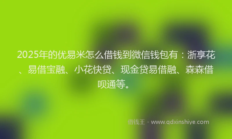 2025年的优易米怎么借钱到微信钱包有：浙享花、易借宝融、小花快贷、现金贷易借融、森森借呗通等。