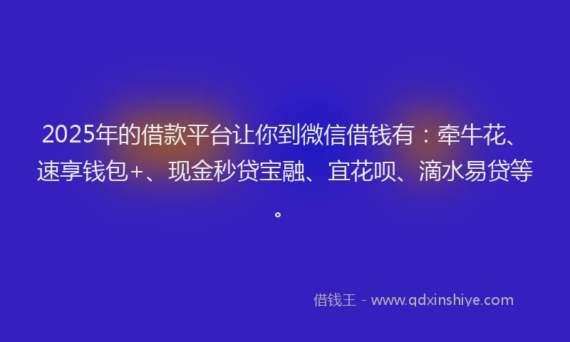 2025年的借款平台让你到微信借钱有：牵牛花、速享钱包+、现金秒贷宝融、宜花呗、滴水易贷等。