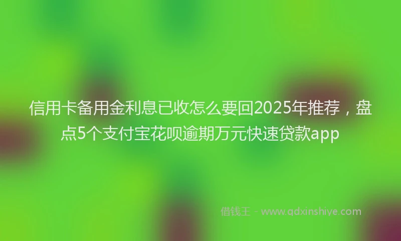 信用卡备用金利息已收怎么要回2025年推荐，盘点5个支付宝花呗逾期万元快速贷款app