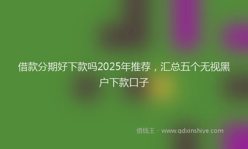 借款分期好下款吗2025年推荐，汇总五个无视黑户下款口子
