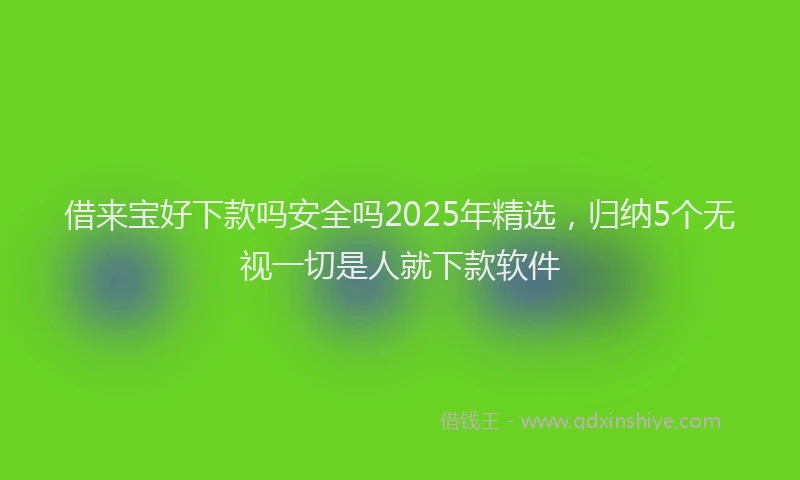 借来宝好下款吗安全吗2025年精选，归纳5个无视一切是人就下款软件