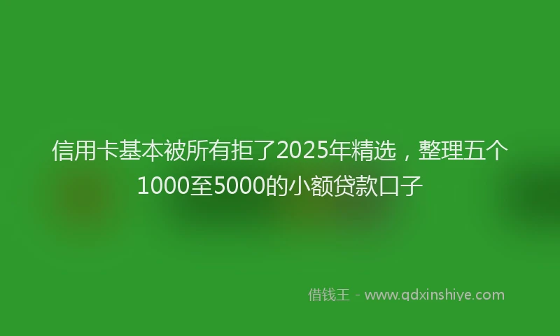 信用卡基本被所有拒了2025年精选，整理五个1000至5000的小额贷款口子