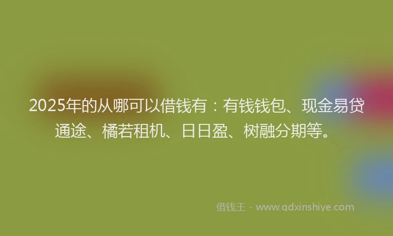 2025年的从哪可以借钱有：有钱钱包、现金易贷通途、橘若租机、日日盈、树融分期等。