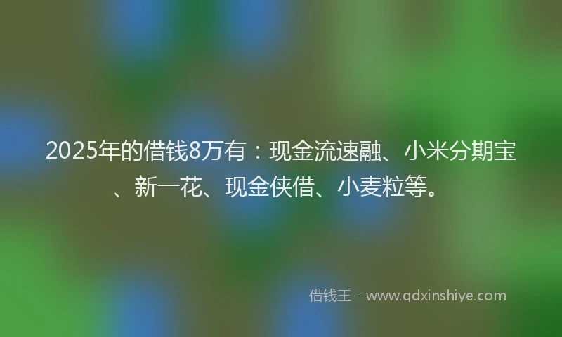 2025年的借钱8万有：现金流速融、小米分期宝、新一花、现金侠借、小麦粒等。