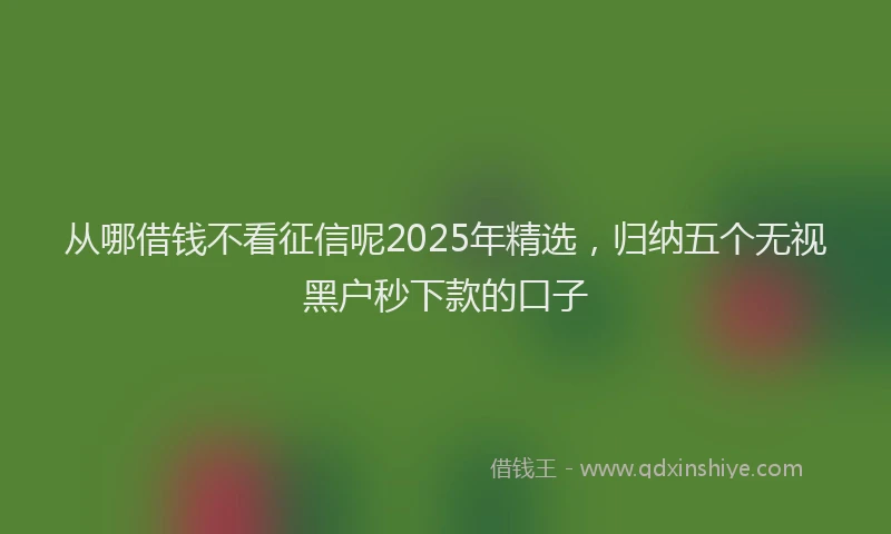 从哪借钱不看征信呢2025年精选，归纳五个无视黑户秒下款的口子