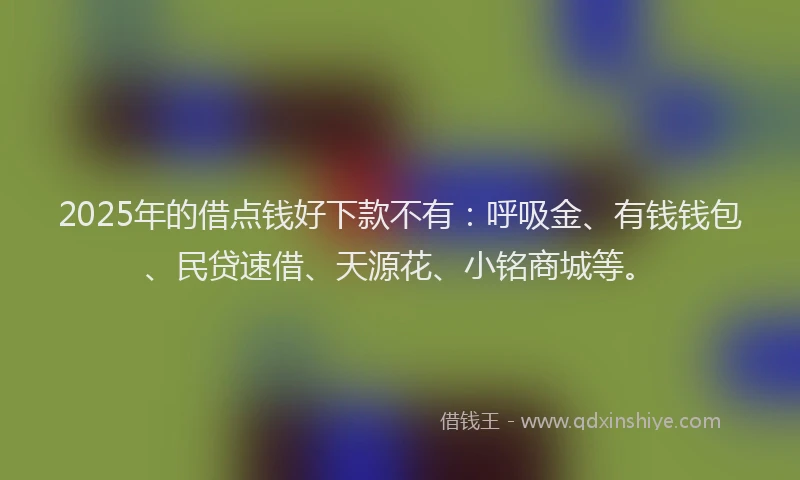 2025年的借点钱好下款不有：呼吸金、有钱钱包、民贷速借、天源花、小铭商城等。