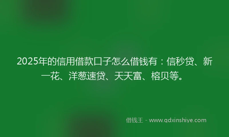 2025年的信用借款口子怎么借钱有：信秒贷、新一花、洋葱速贷、天天富、榕贝等。