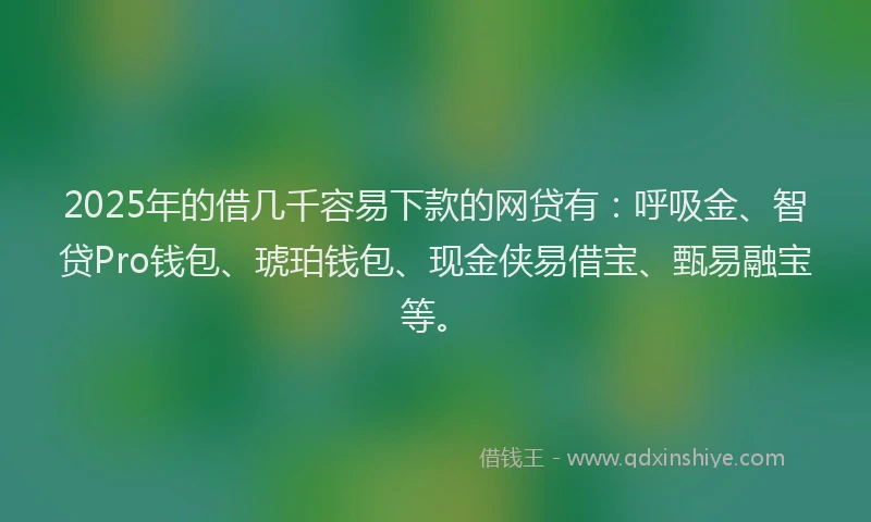 2025年的借几千容易下款的网贷有：呼吸金、智贷Pro钱包、琥珀钱包、现金侠易借宝、甄易融宝等。