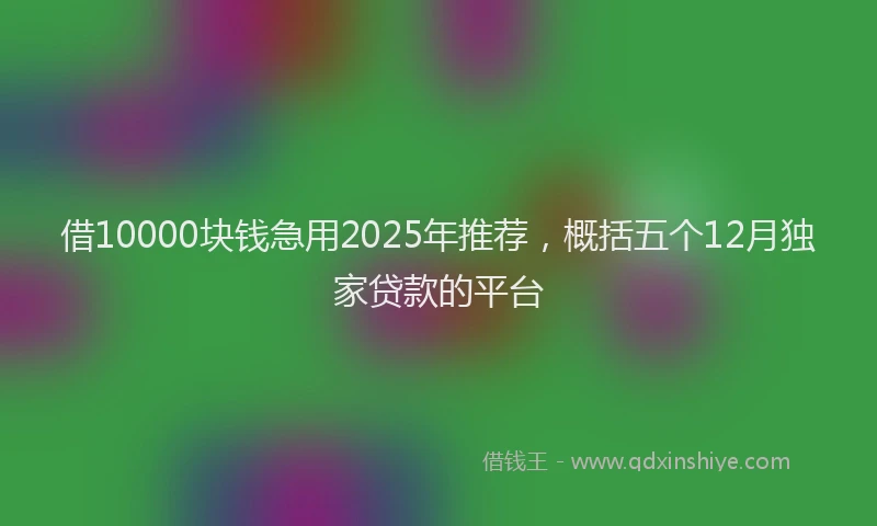 借10000块钱急用2025年推荐，概括五个12月独家贷款的平台