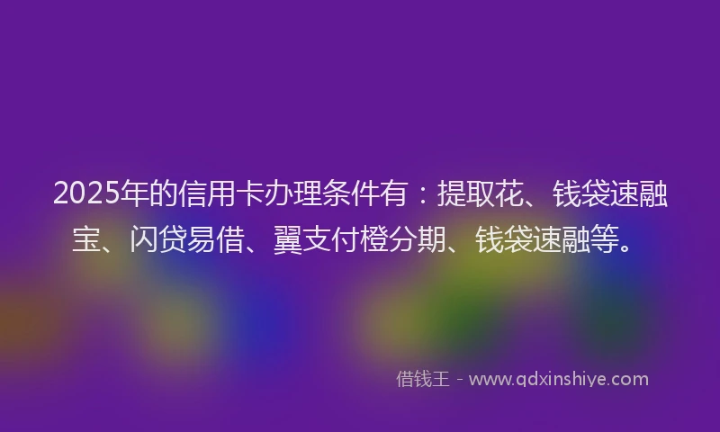 2025年的信用卡办理条件有：提取花、钱袋速融宝、闪贷易借、翼支付橙分期、钱袋速融等。