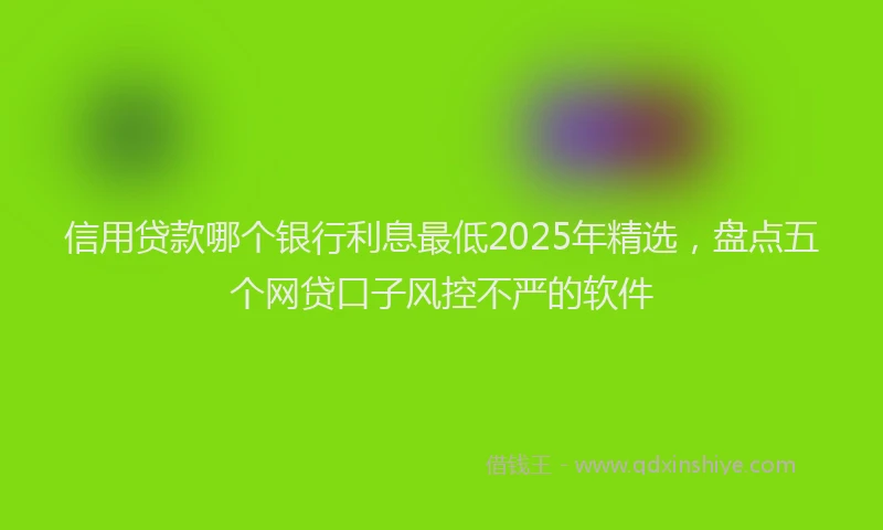 信用贷款哪个银行利息最低2025年精选，盘点五个网贷口子风控不严的软件