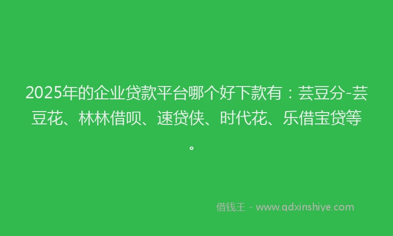 2025年的企业贷款平台哪个好下款有：芸豆分-芸豆花、林林借呗、速贷侠、时代花、乐借宝贷等。