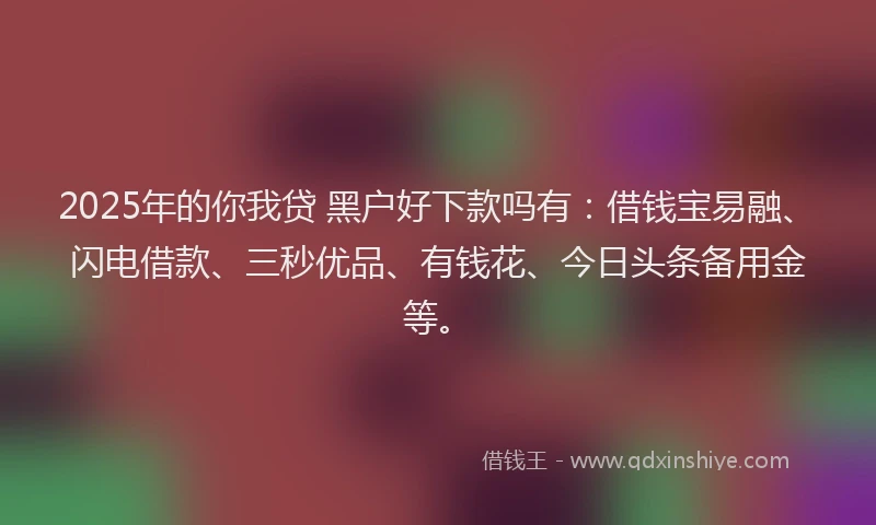 2025年的你我贷 黑户好下款吗有：借钱宝易融、闪电借款、三秒优品、有钱花、今日头条备用金等。
