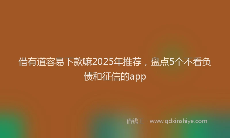 借有道容易下款嘛2025年推荐，盘点5个不看负债和征信的app