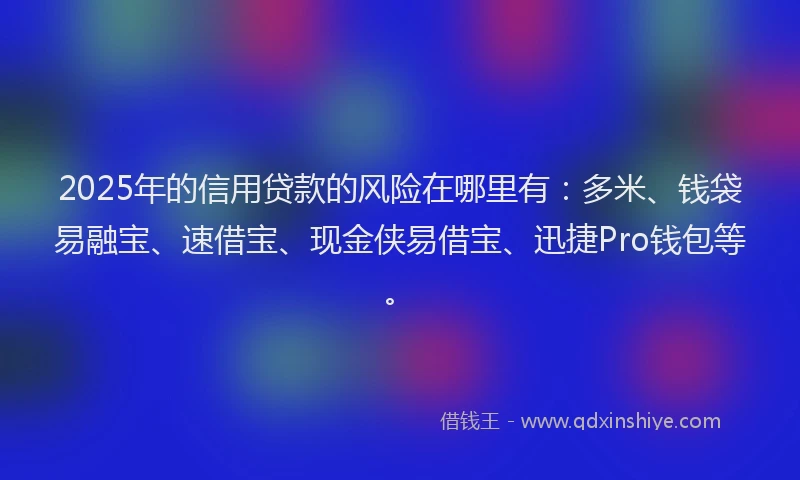 2025年的信用贷款的风险在哪里有：多米、钱袋易融宝、速借宝、现金侠易借宝、迅捷Pro钱包等。