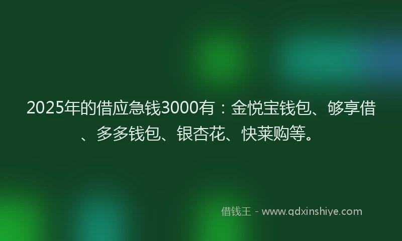 2025年的借应急钱3000有：金悦宝钱包、够享借、多多钱包、银杏花、快莱购等。