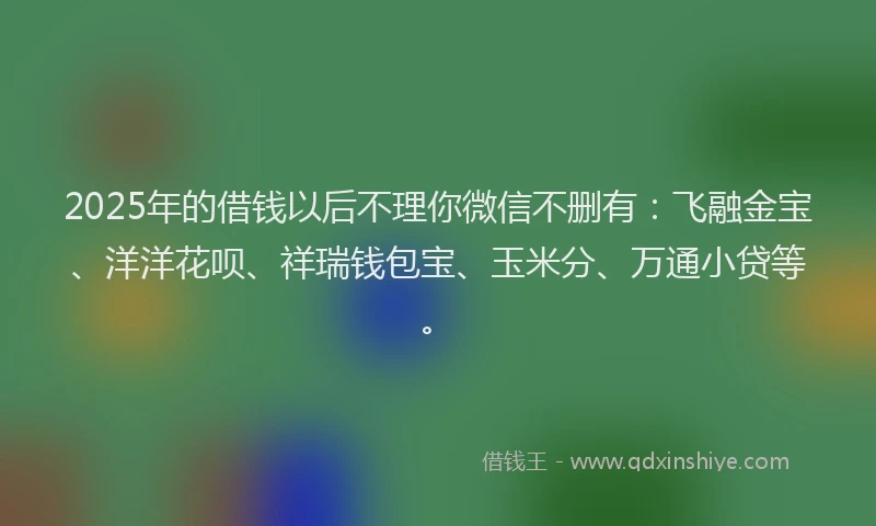 2025年的借钱以后不理你微信不删有：飞融金宝、洋洋花呗、祥瑞钱包宝、玉米分、万通小贷等。