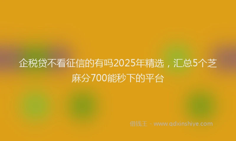 企税贷不看征信的有吗2025年精选，汇总5个芝麻分700能秒下的平台