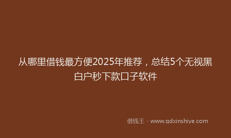 从哪里借钱最方便2025年推荐，总结5个无视黑白户秒下款口子软件