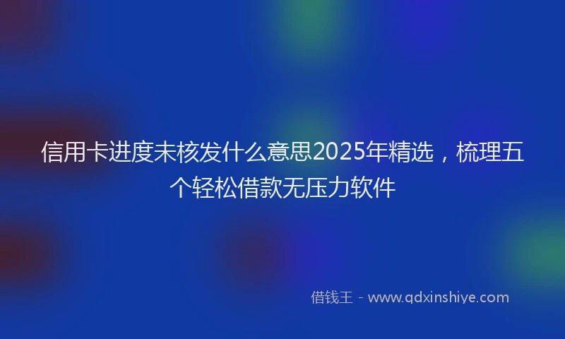 信用卡进度未核发什么意思2025年精选，梳理五个轻松借款无压力软件