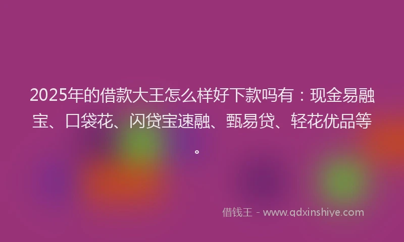 2025年的借款大王怎么样好下款吗有：现金易融宝、口袋花、闪贷宝速融、甄易贷、轻花优品等。