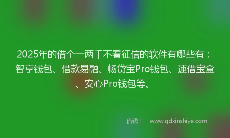 2025年的借个一两千不看征信的软件有哪些有：智享钱包、借款易融、畅贷宝Pro钱包、速借宝盒、安心Pro钱包等。