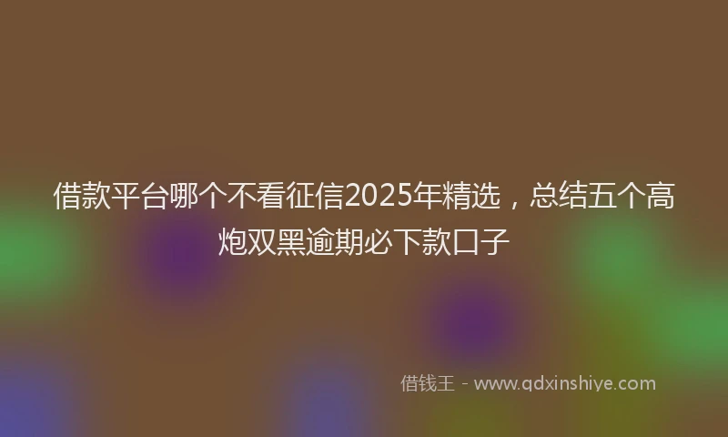 借款平台哪个不看征信2025年精选，总结五个高炮双黑逾期必下款口子