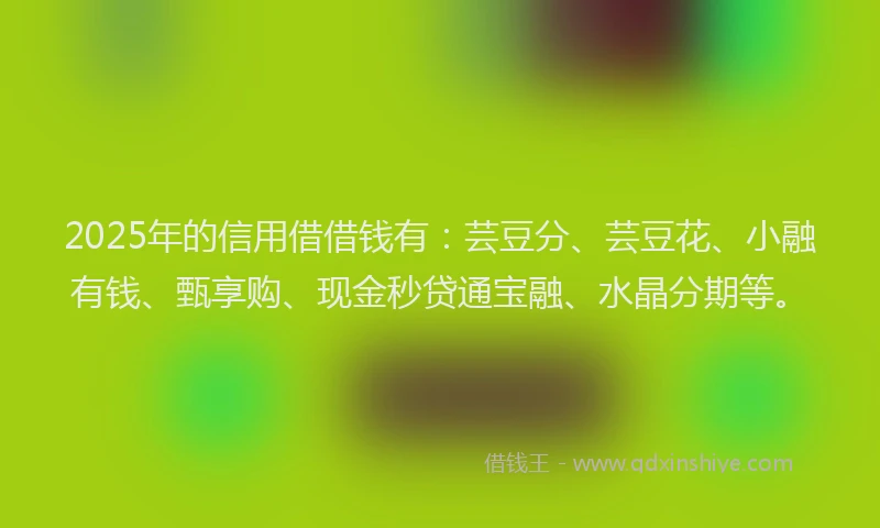 2025年的信用借借钱有：芸豆分、芸豆花、小融有钱、甄享购、现金秒贷通宝融、水晶分期等。