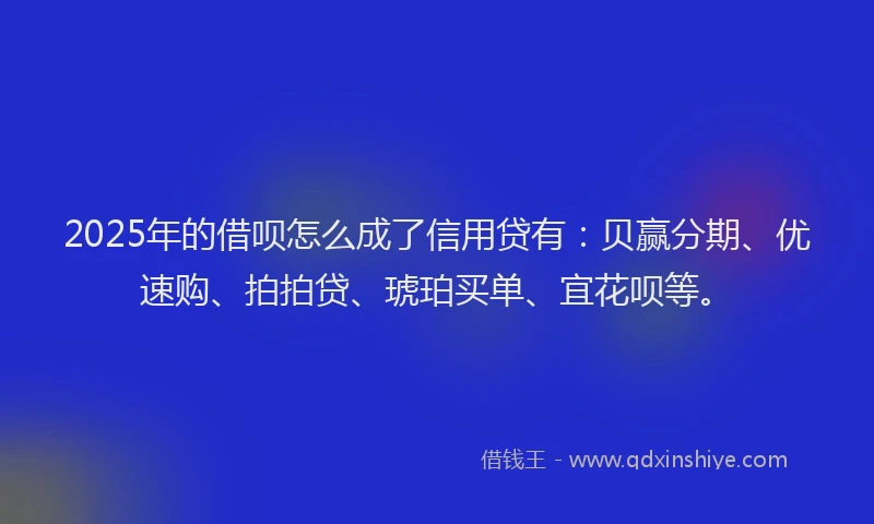 2025年的借呗怎么成了信用贷有：贝赢分期、优速购、拍拍贷、琥珀买单、宜花呗等。