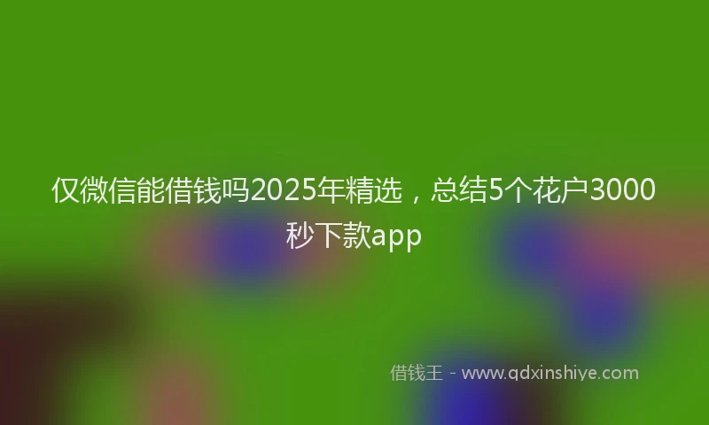 仅微信能借钱吗2025年精选，总结5个花户3000秒下款app