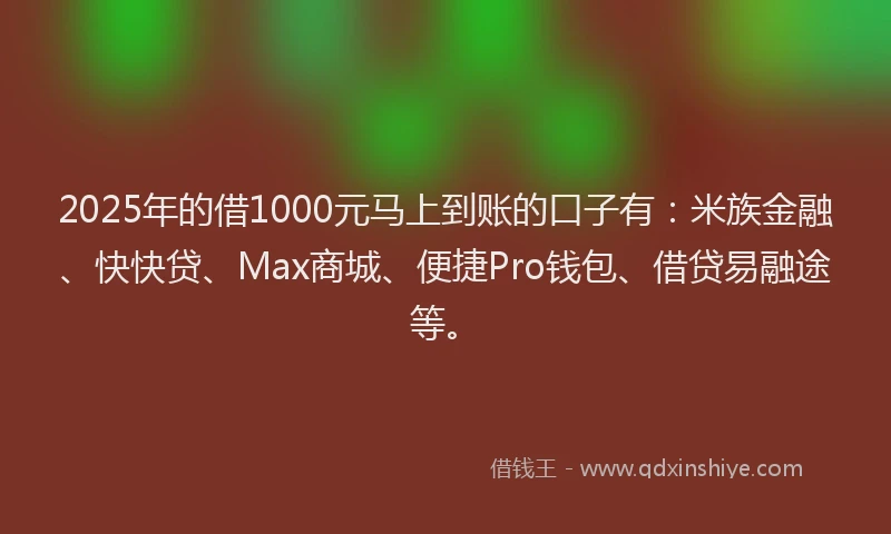 2025年的借1000元马上到账的口子有：米族金融、快快贷、Max商城、便捷Pro钱包、借贷易融途等。