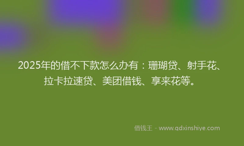 2025年的借不下款怎么办有：珊瑚贷、射手花、拉卡拉速贷、美团借钱、享来花等。
